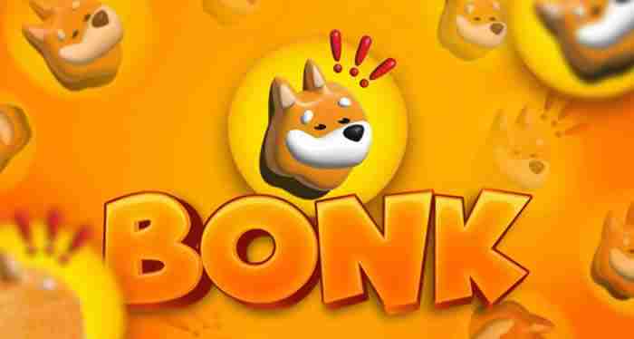 BONK币2024年能涨到多少？会成为百倍币吗？